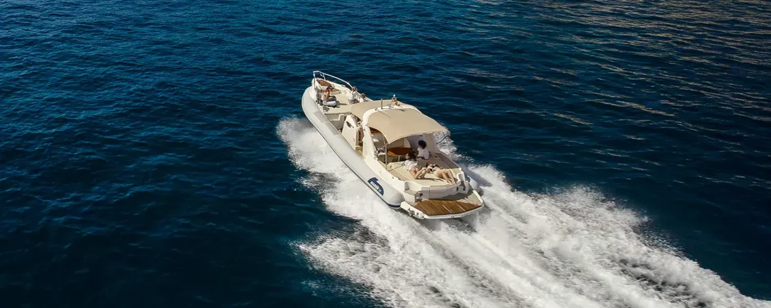 marlin-rib-5